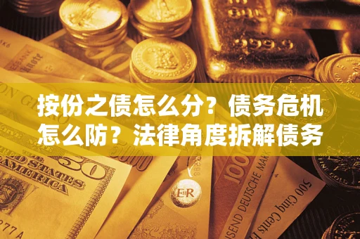 武汉按份之债怎么分？债务危机怎么防？法律角度拆解债务分配与风险自保指南
