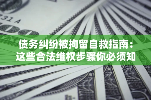 武汉债务纠纷被拘留自救指南：这些合法维权步骤你必须知道！