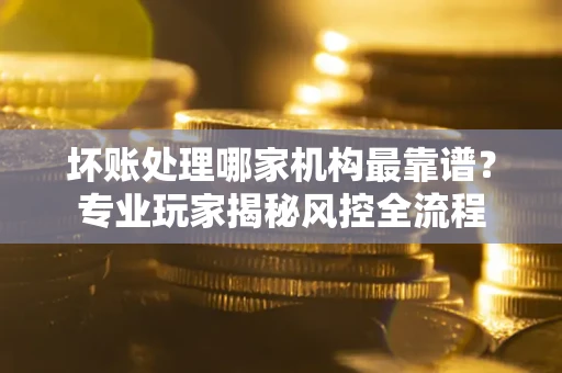 武汉坏账处理哪家机构最靠谱？专业玩家揭秘风控全流程