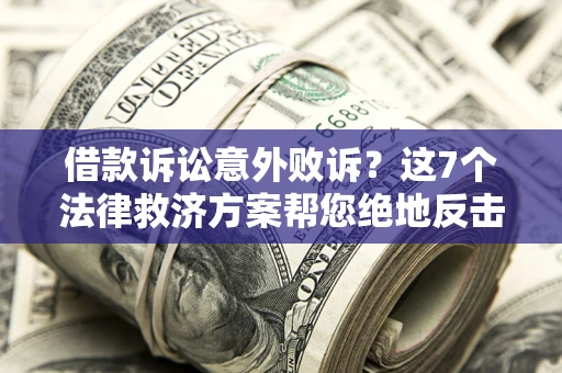武汉借款诉讼意外败诉？这7个法律救济方案帮您绝地反击！