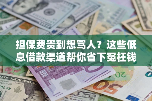 武汉担保费贵到想骂人？这些低息借款渠道帮你省下冤枉钱