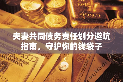 武汉夫妻共同债务责任划分避坑指南，守护你的钱袋子