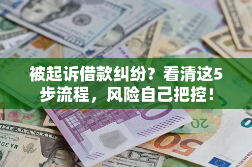 武汉被起诉借款纠纷？看清这5步流程，风险自己把控！