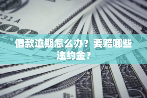 武汉借款逾期怎么办？要赔哪些违约金？