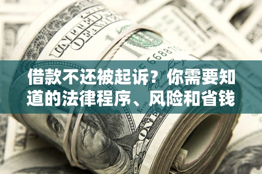 武汉借款不还被起诉？你需要知道的法律程序、风险和省钱技巧