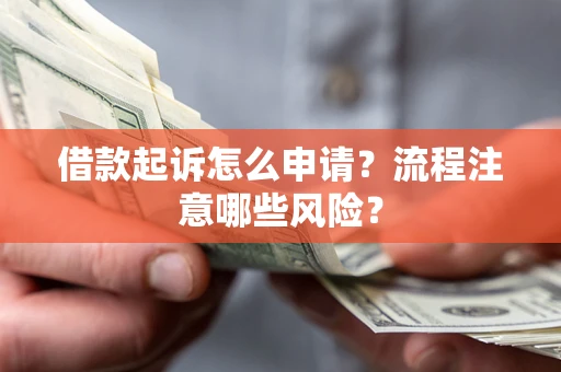 武汉借款起诉怎么申请？流程注意哪些风险？