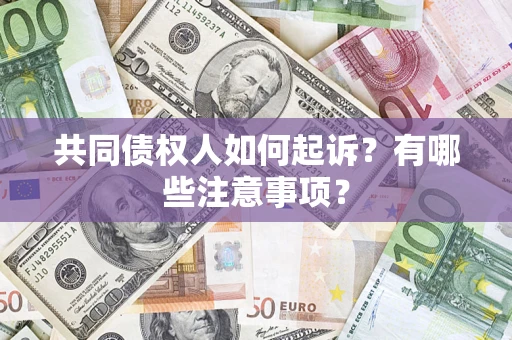 武汉共同债权人如何起诉？有哪些注意事项？